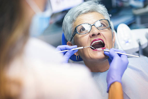 Reliable Shillington, PA Holistic Dental Care Services Solutions